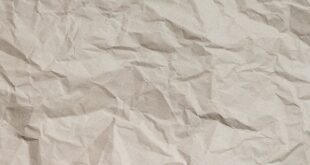 Orhangazi'de Düzenlenen Kültürel Etkinlikler
